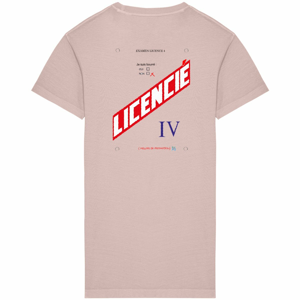 Robe T-shirt Femme diplome licence 4