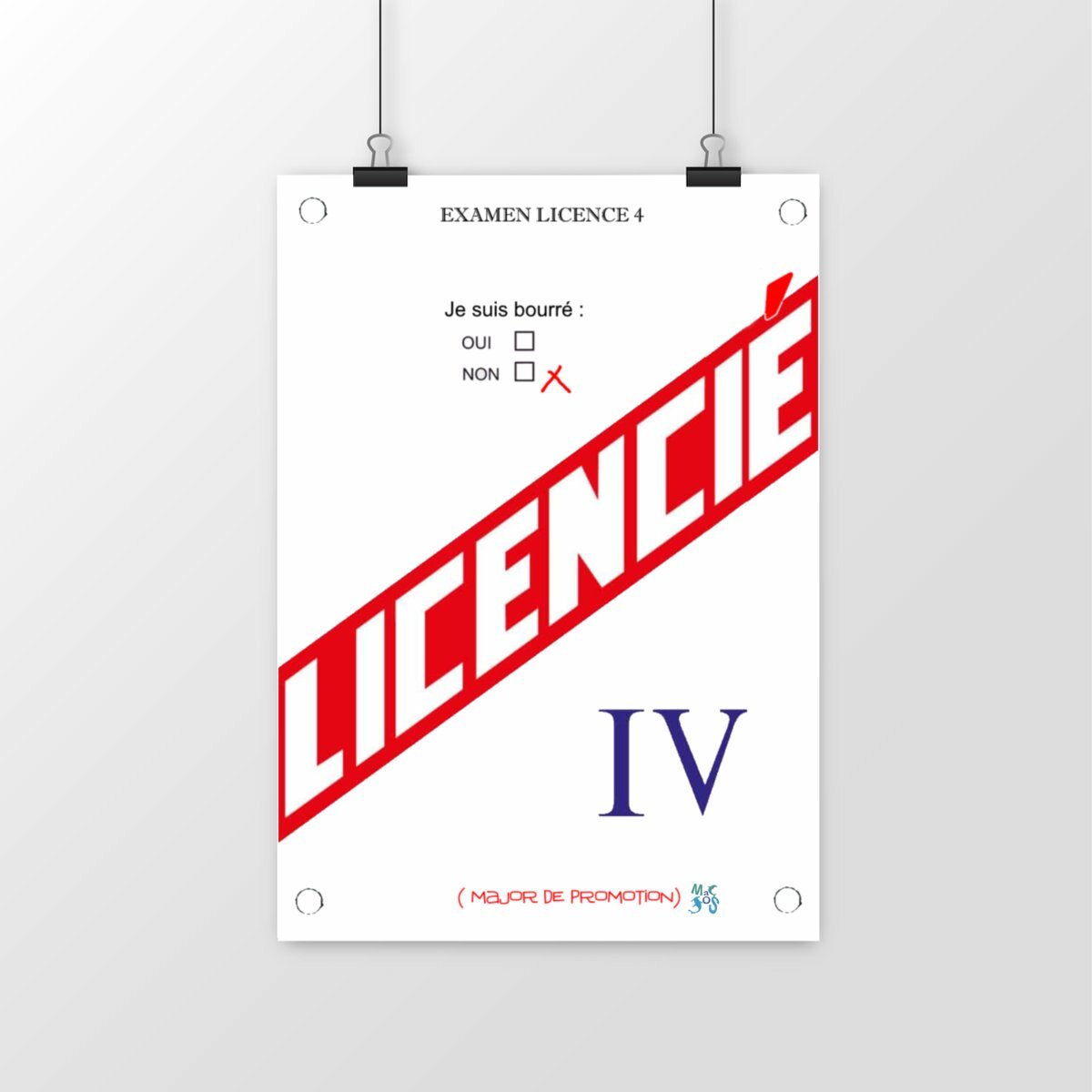 diplôme Licencié IV option apéro- Licence 4